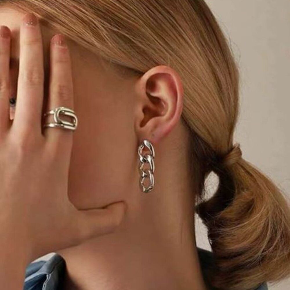 NWT, Silver Chain Link Earrings